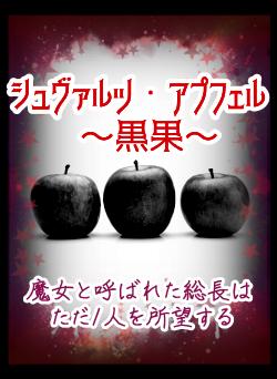 シュヴァルツ・アプフェル～黒果～魔女と呼ばれた総長はただ1人を所望する