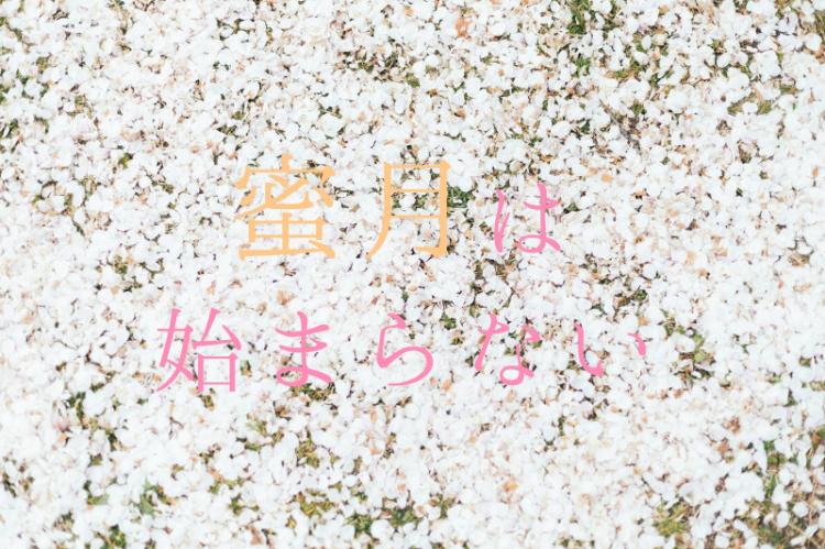 蜜月は始まらない