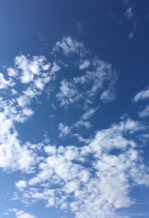 緑の風と小さな光 第2部