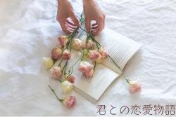 君との恋愛物語～私の溺愛彼氏～