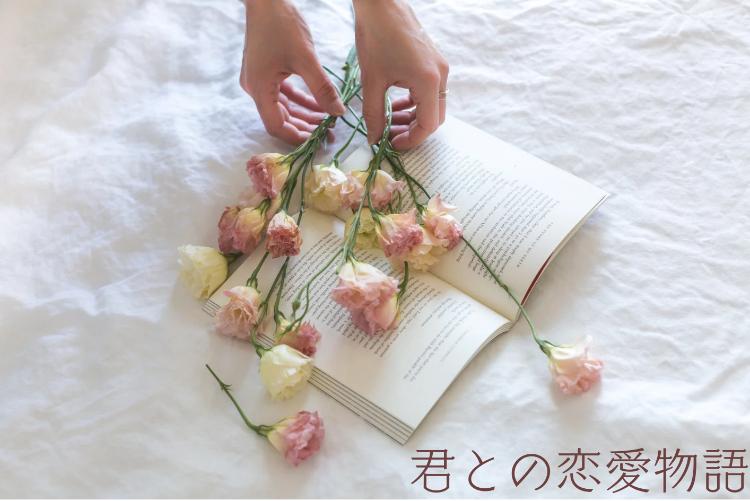 君との恋愛物語~私の溺愛彼氏~