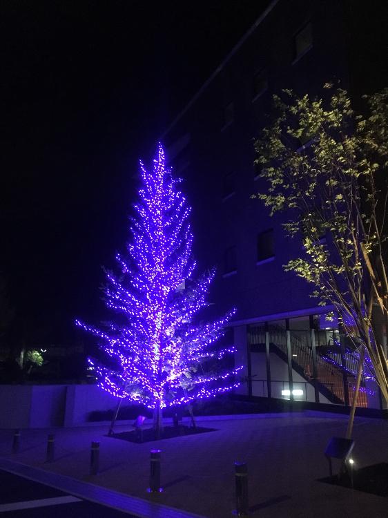 俺様彼氏と不器用なクリスマス