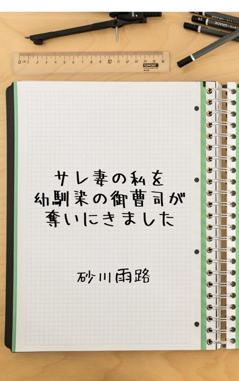 捨てられ妻の私がエリート御曹司に甘く娶られるまで
