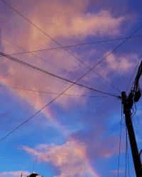 好きは色づく花。