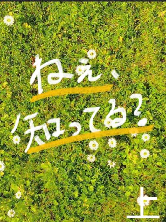 ねえ、知ってる？【上】