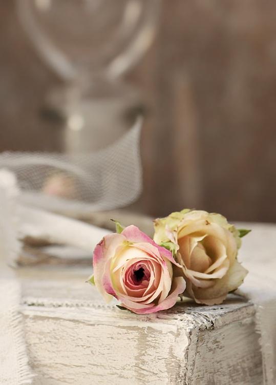 恋は天使の寝息のあとに