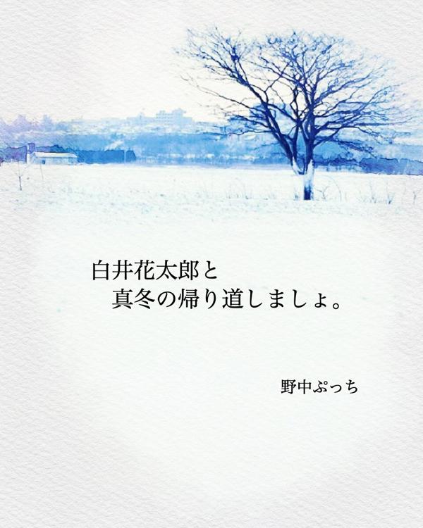 白井 花太郎と真冬の帰り道しましょ。【完】