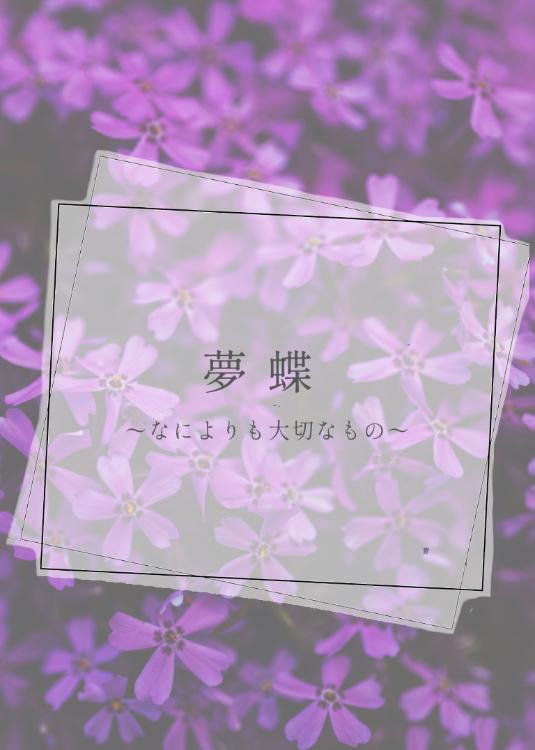 夢蝶 ~なによりも大切なもの~
