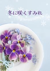 【マンガシナリオ】冬に咲くすみれ