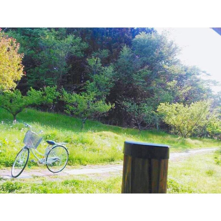 涙〜あなただけが〜