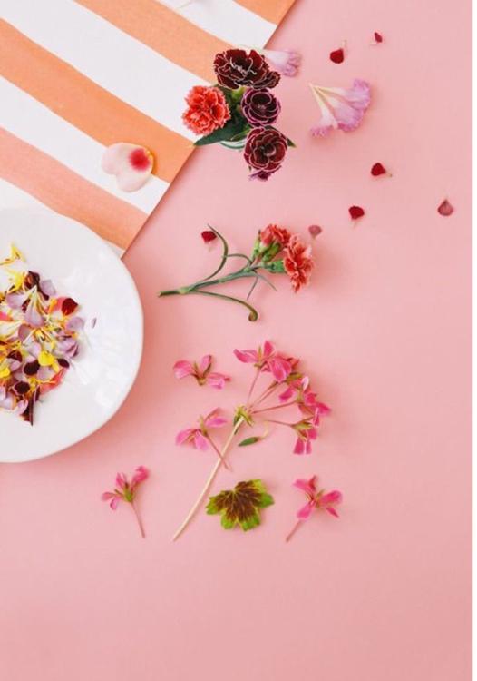 《番外編SS集》i love…＊