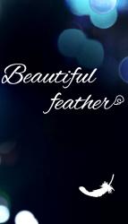 Beautiful feather
