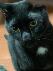 殺しても殺しても生き返る