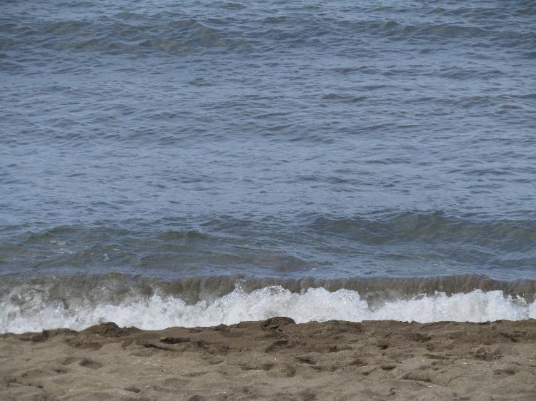 厳島に散ゆ~あんなに愛していたのに~