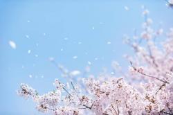 あなたが教えてくれたこと