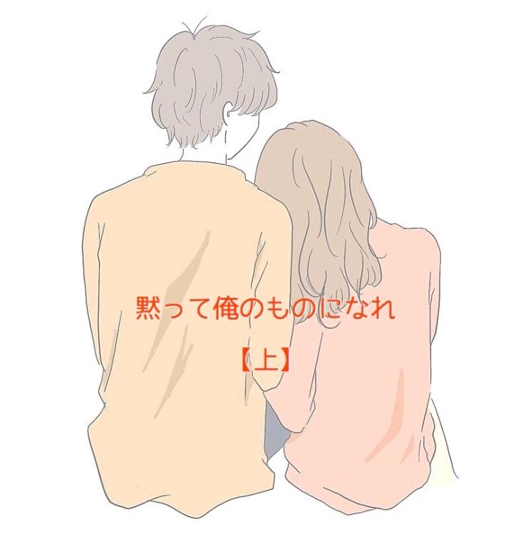 黙って俺のモノになれ【上】