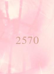 2570 ー男子高校生とOＬー