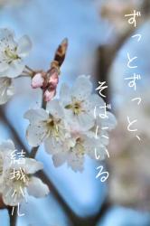 ずっとずっと、そばにいる