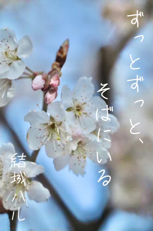 ずっとずっと、そばにいる