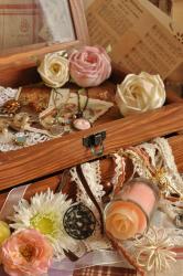 正義の味方に愛された魔女 5