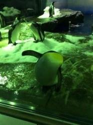 好きになれとは言ってない