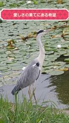 愛しさの果てにある希望