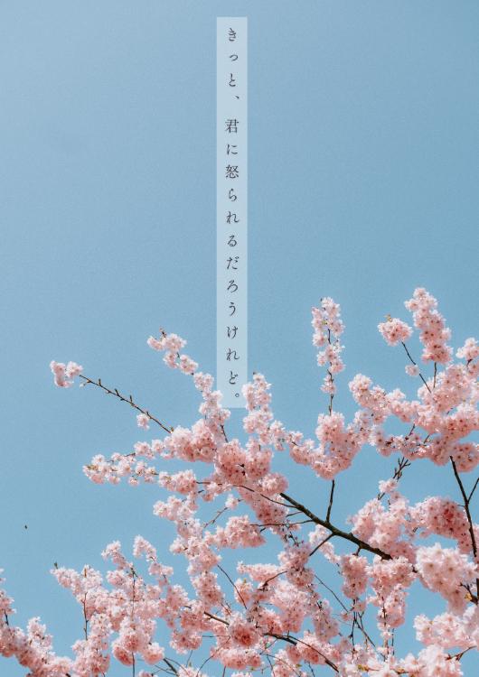 きっと、君に怒られるだろうけれど