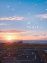 伝わったかな…