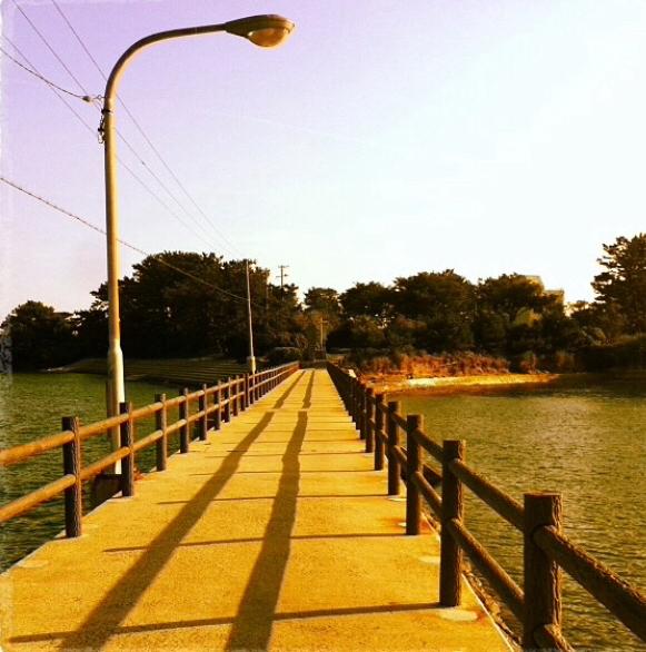 叶わぬ恋…それでもあなたを見ていたい