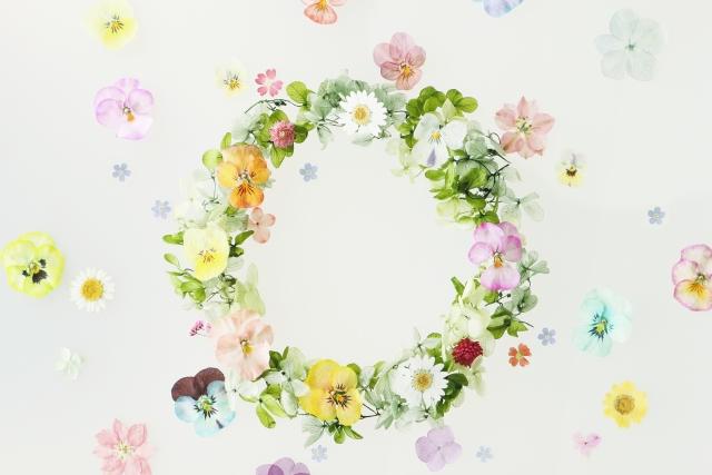 バカで可愛い俺の彼女