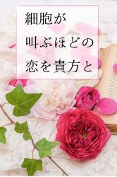 細胞が叫ぶほどの恋を貴方と