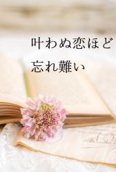 叶わぬ恋ほど忘れ難い