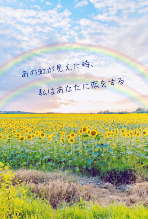 あの虹が見えた時、私はあなたに恋をする