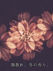 【短】舞散れ、冬の香り。