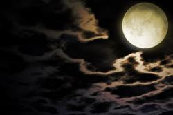 【短】残月、残滓、残照、残恋。そして、残愛…。