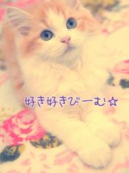 【短】好き好きびーむ☆