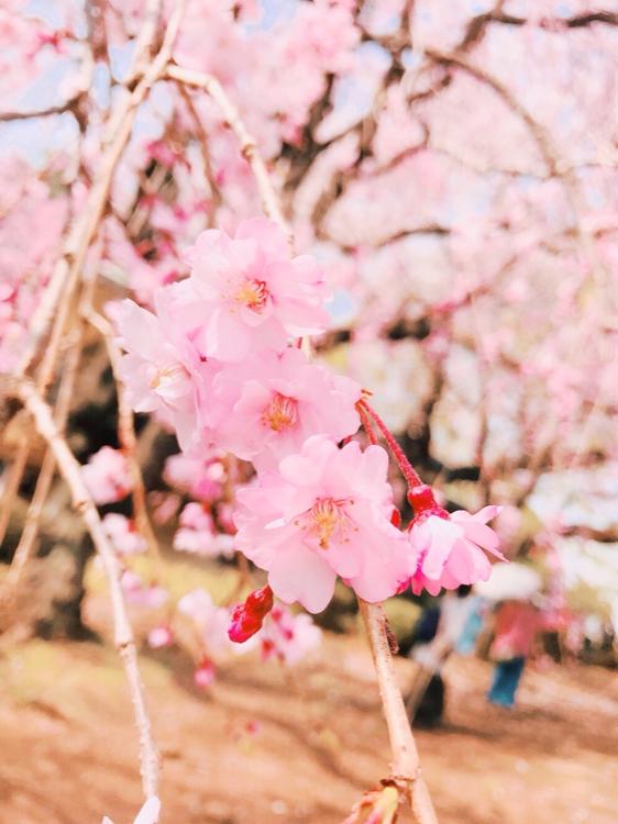 君に最初で最後の愛を