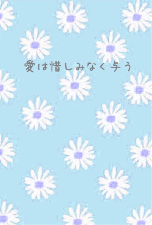 愛は惜しみなく与う②
