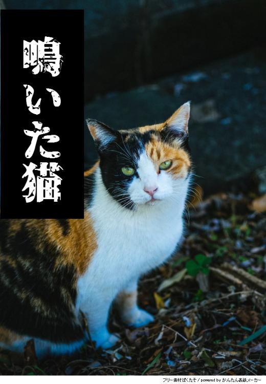 実話怪談「鳴いた猫」