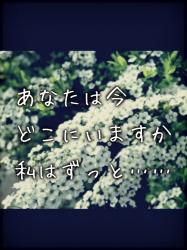 ユキヤナギの丘で、もう一度君を好きになる