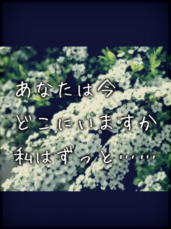 ユキヤナギの丘で、もう一度君を好きになる