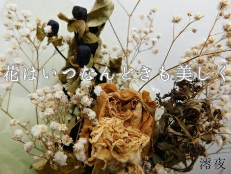 花はいつなんどきも美しく