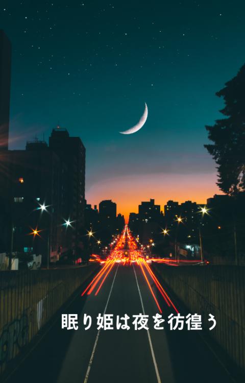 眠り姫は夜を彷徨う