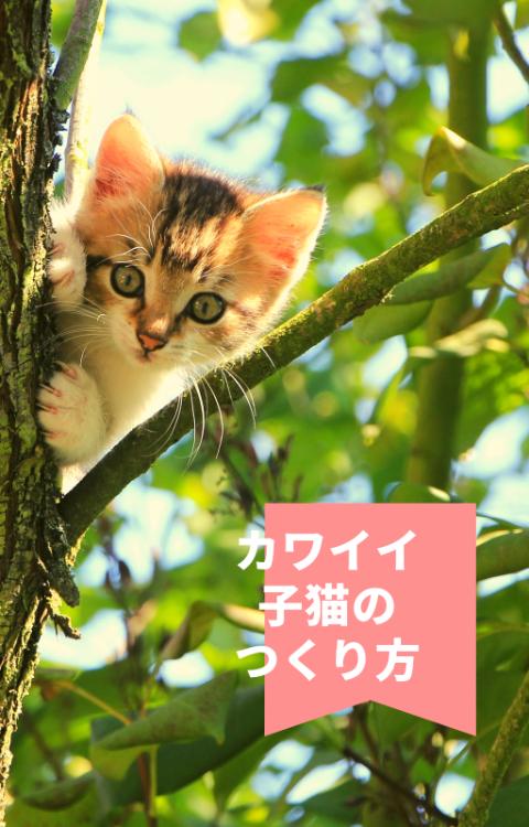 カワイイ子猫のつくり方