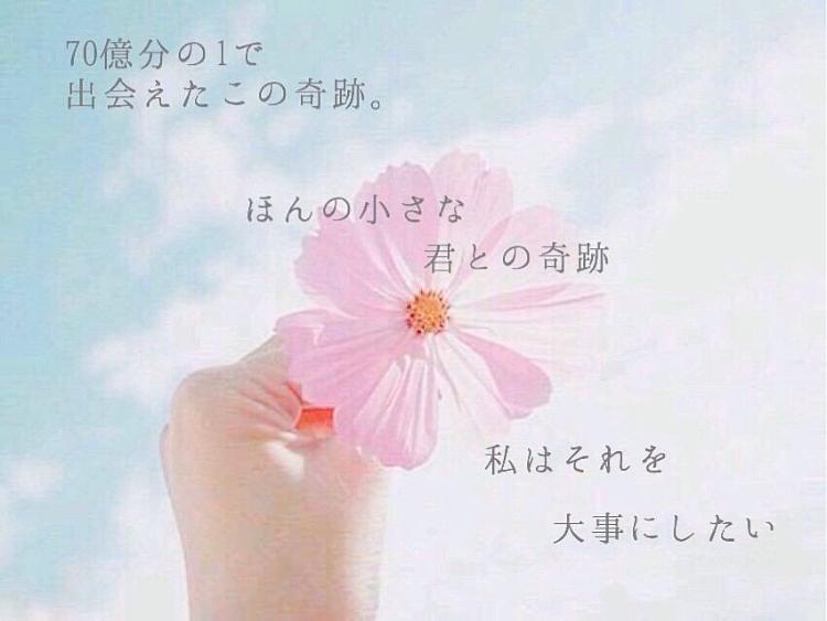 出逢えたのはーーー奇跡。