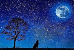 満月に誓うーー欲しがりなオオカミ