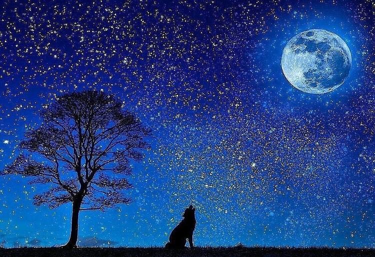 満月に誓うーー欲しがりなオオカミ