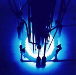 ズートピア〜駆逐編〜