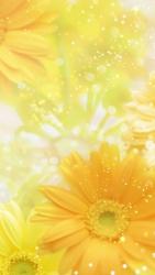 溺愛銃弾　～ハニーメタル・バレット～