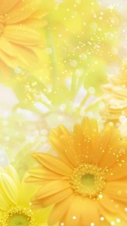 溺愛銃弾 ~ハニーメタル・バレット~